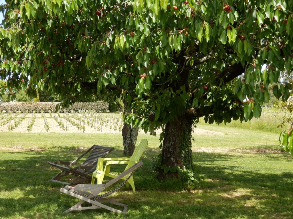 ชาโต ลา มอท ดู แบร์รี Bed & Breakfast Moulon-sur-Dordogne ภายนอก รูปภาพ