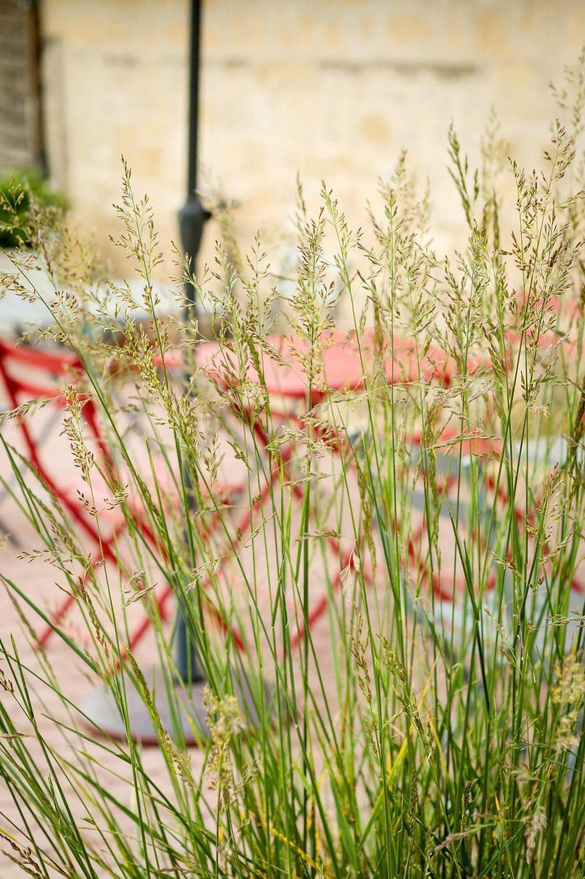 ชาโต ลา มอท ดู แบร์รี Bed & Breakfast Moulon-sur-Dordogne ภายนอก รูปภาพ
